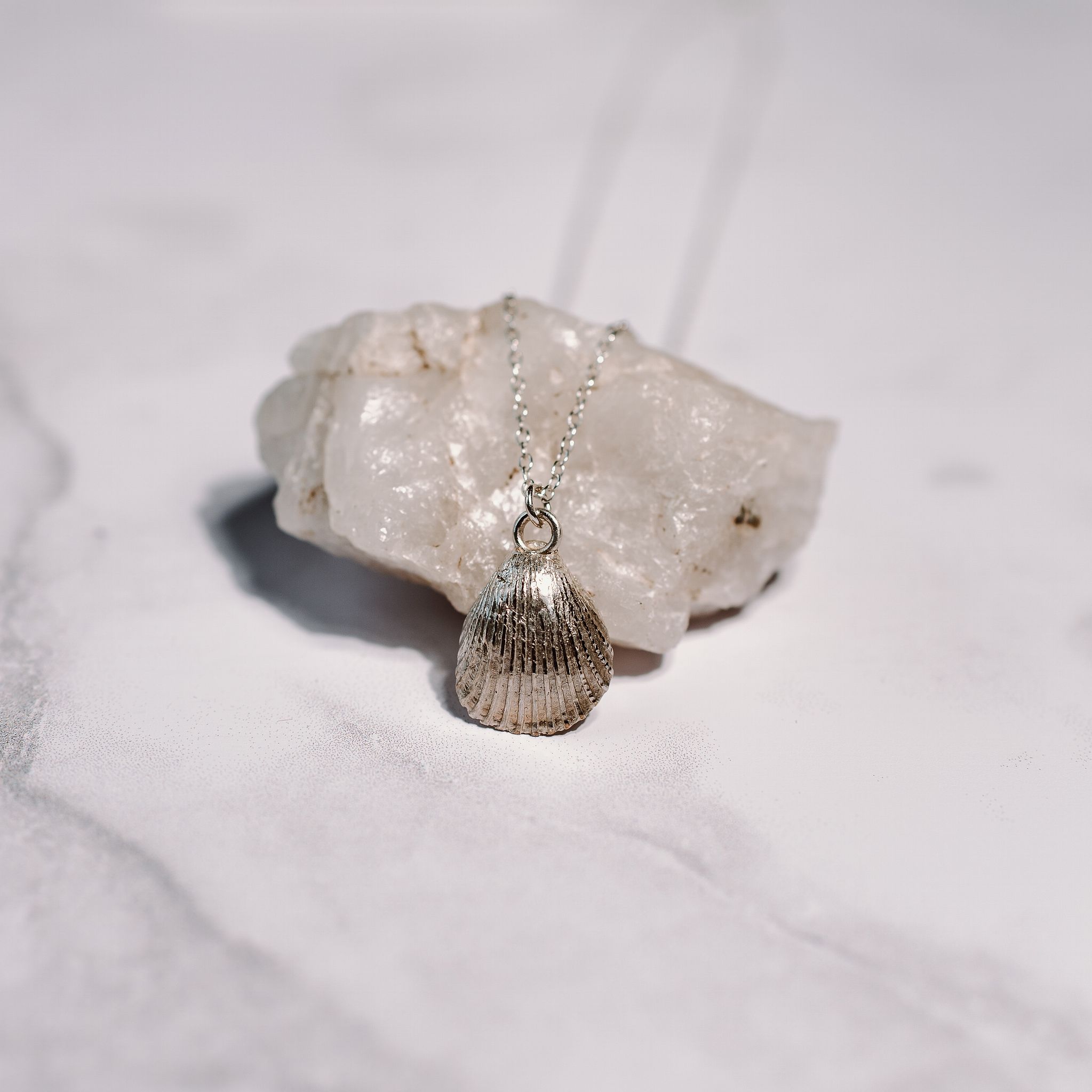 Cockle Shell Necklace Silver