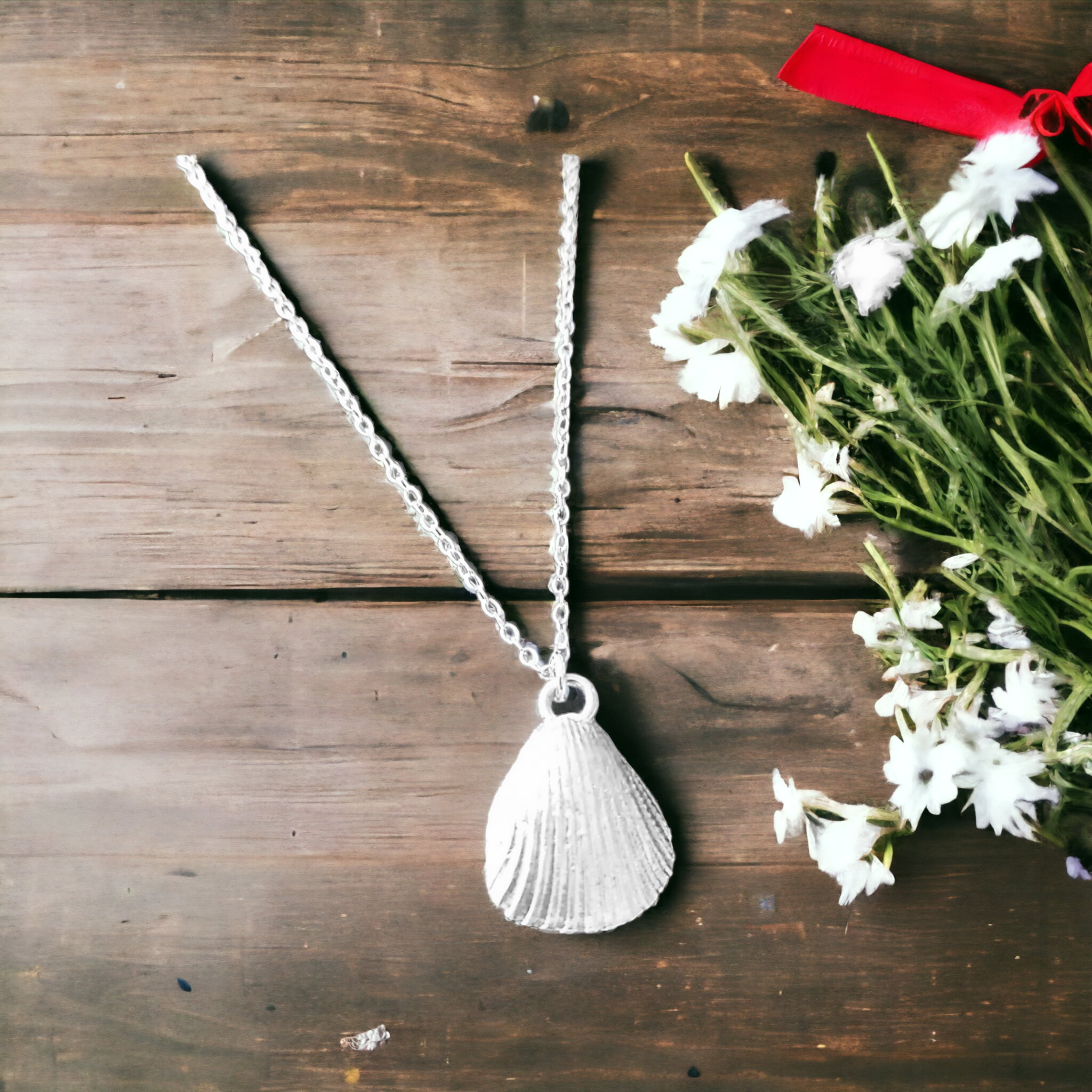Cockle shell 2025 necklace